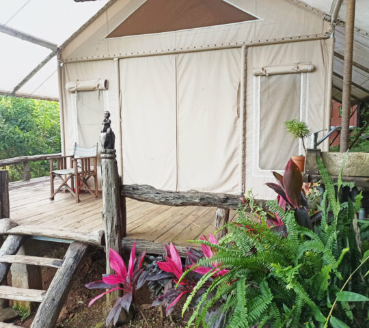 Lak Tented Camp – Đắk Lắk