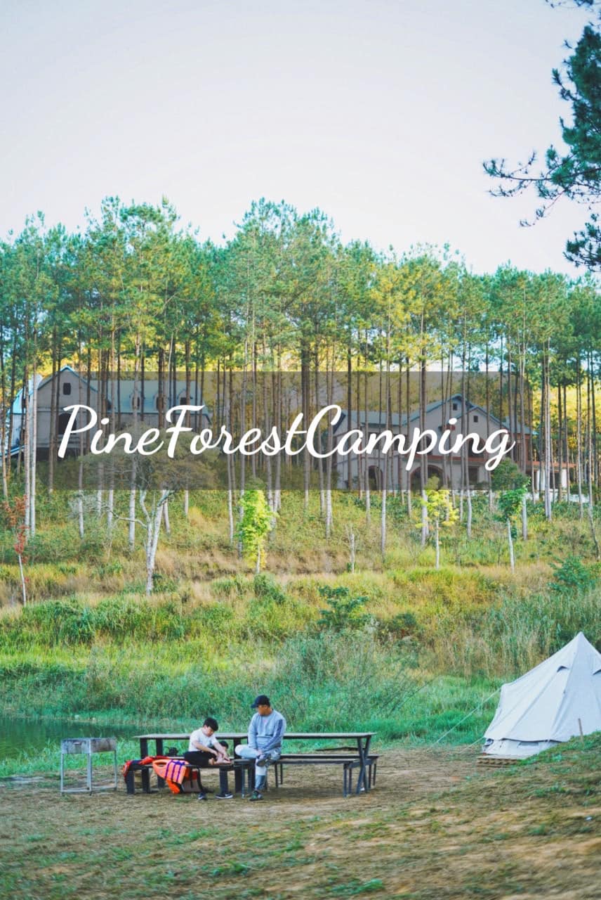 PineForest Camping -Dalat