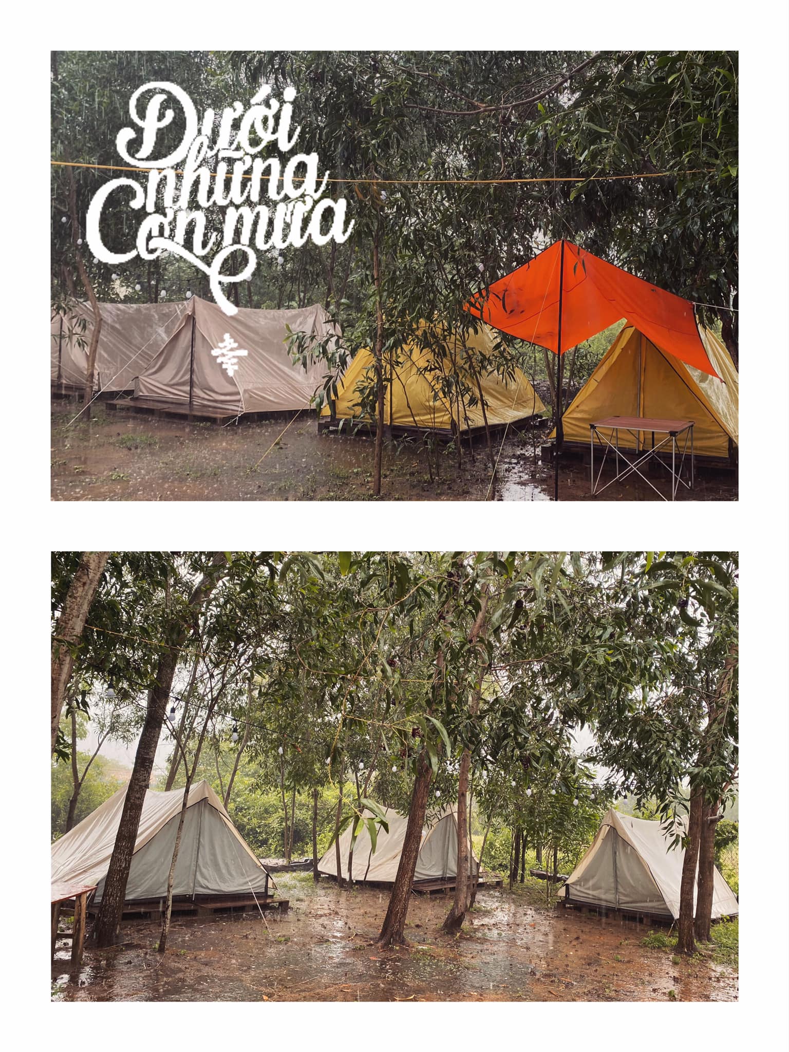 Camping Cần Giờ – TP.Hồ Chí Minh