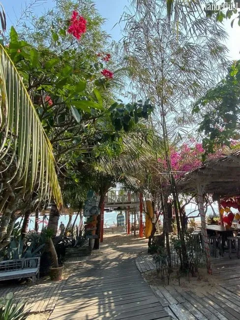 Coco Beachcamp – Bình Thuận