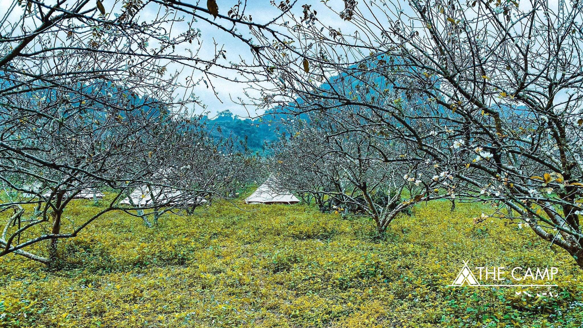 The Camp Mộc Châu – Hà Nội