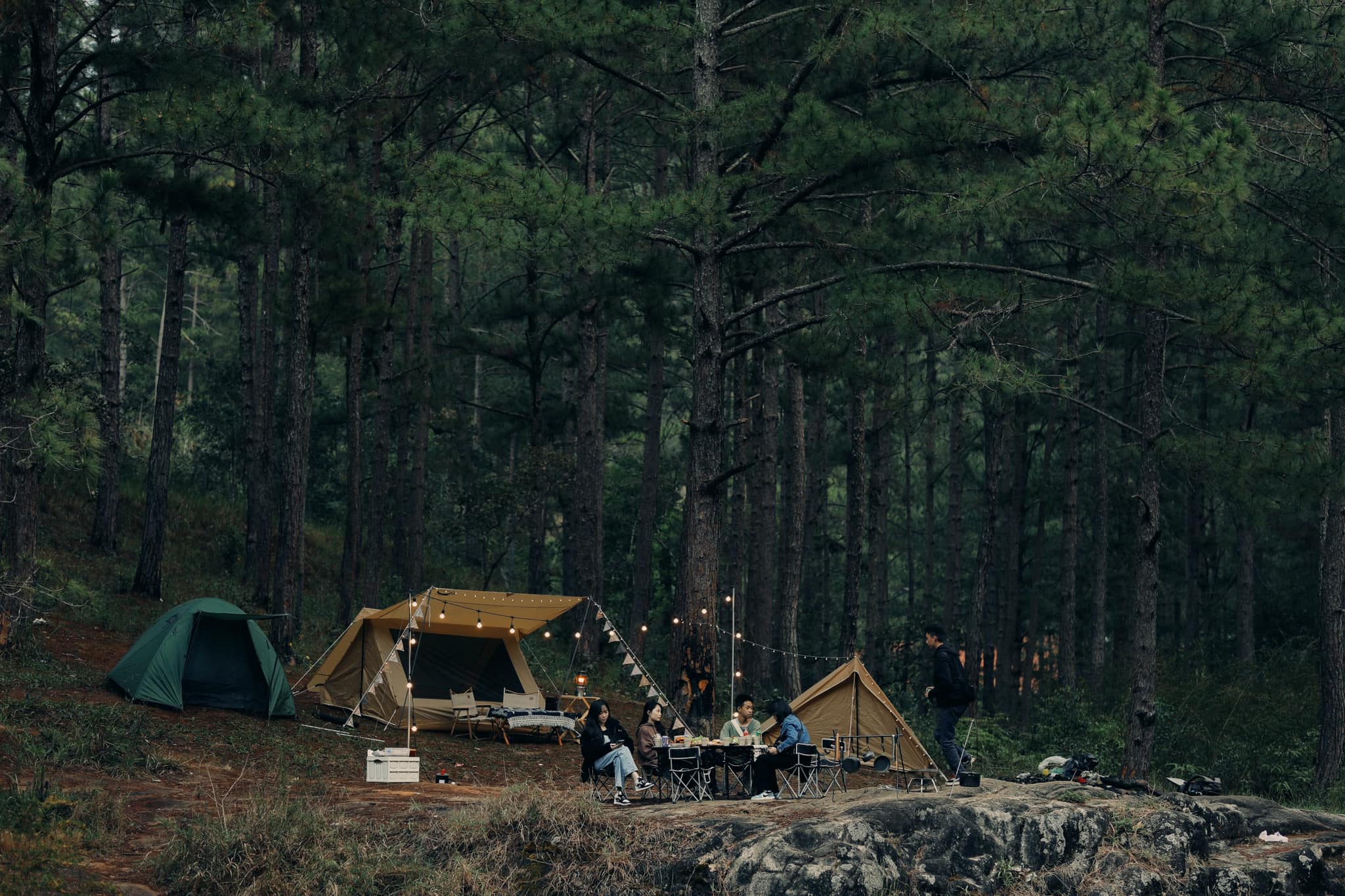 The Campers – Camp Tour Đà Lạt – Đà Lạt