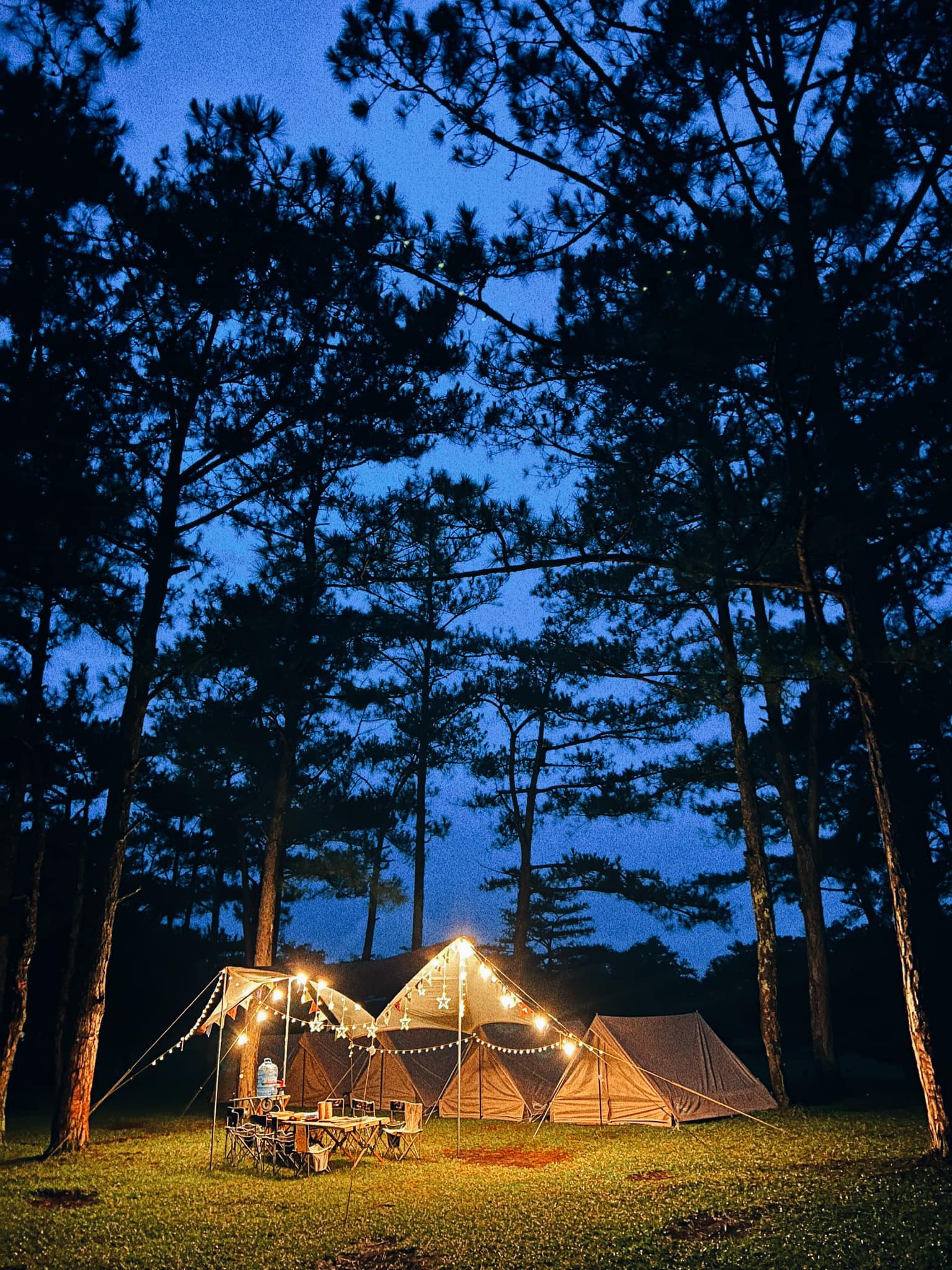 The Campers – Camp Tour Đà Lạt – Đà Lạt