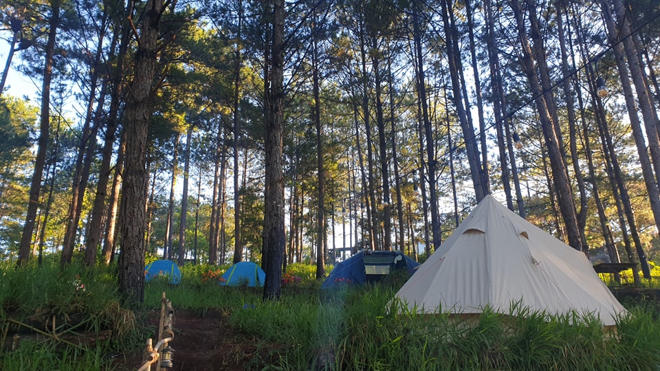 Camping Cùng Rew Rew-Đà Lạt