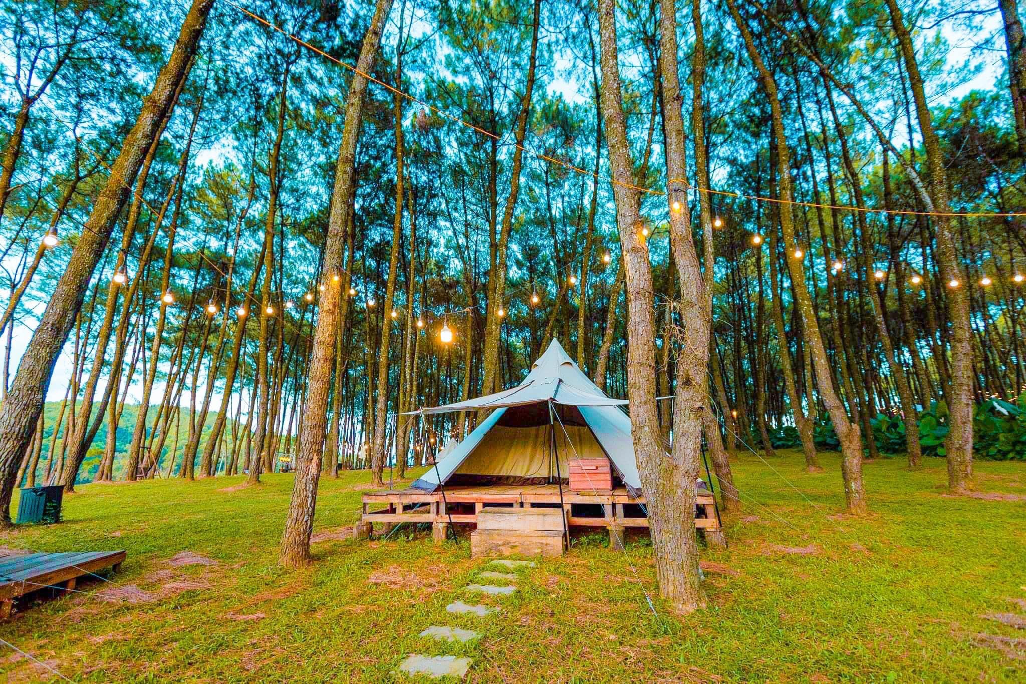 Green Pine Resort-Ninh Bình