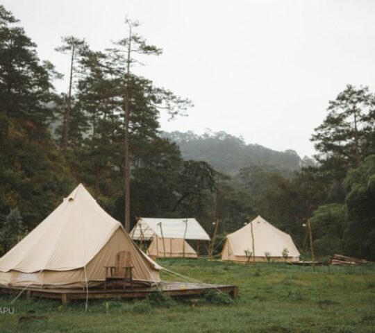 Cắm trại Đồng Nai – Khu du lịch Vườn Xoài