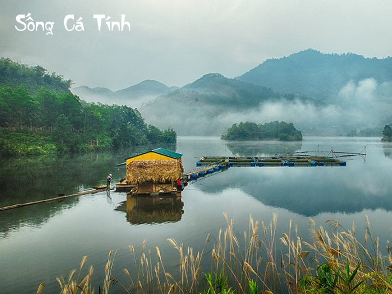 Núi Voi Xuân Sơn – Hải Phong