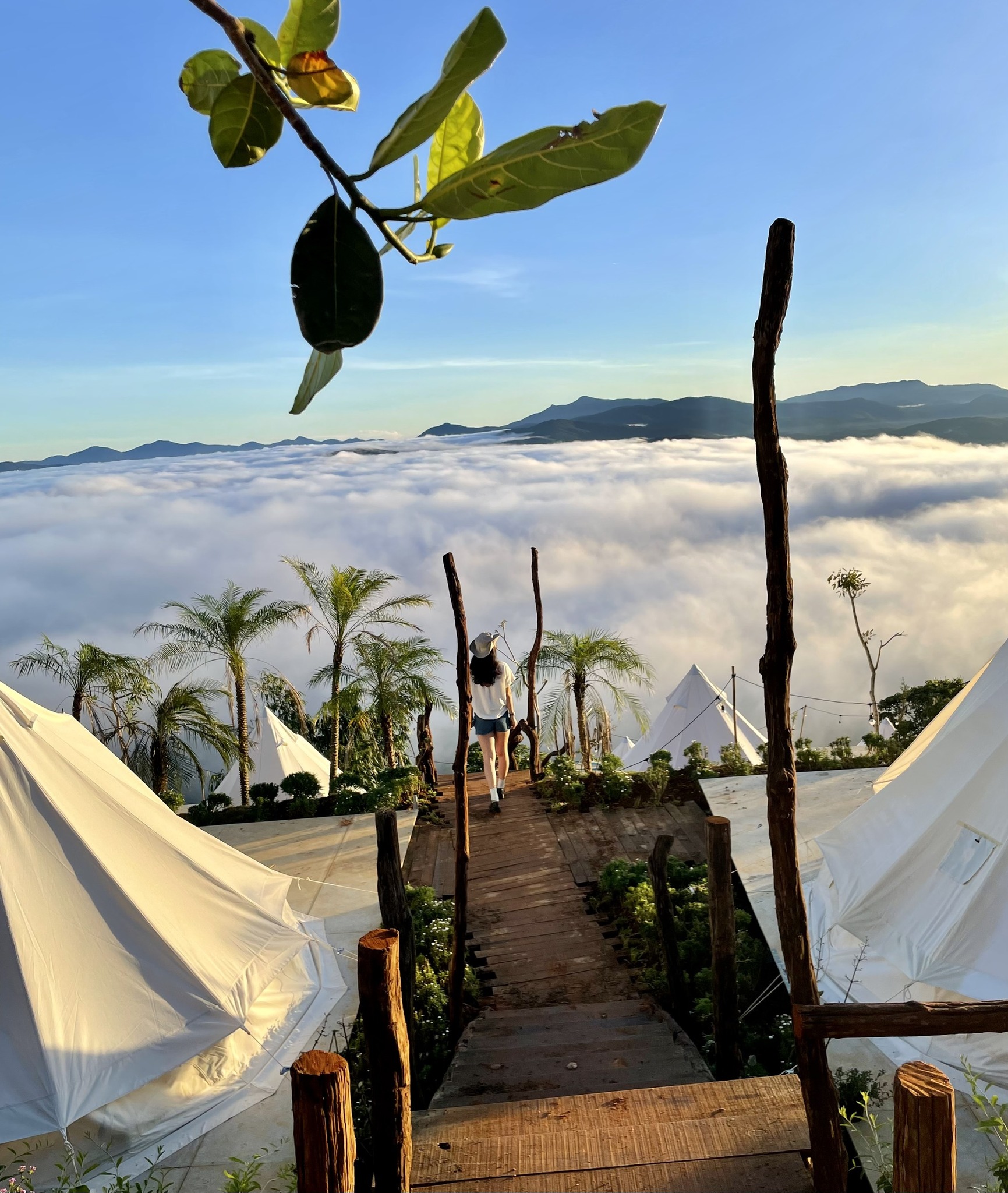 Cloud9 Glamping – Cắm trại săn mây Đà Lạt